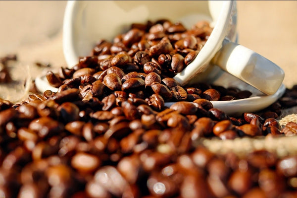 Coffee Lovers