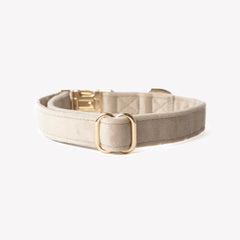 'Sand' - Velvet Dog Collar