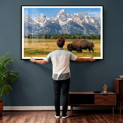 Bison in Mountain Landscape Wall Art Canvas Print – Western