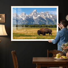 Bison in Mountain Landscape Wall Art Canvas Print – Western