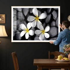 Plumeria Frangipani Black Stone Canvas | White Flower Spa