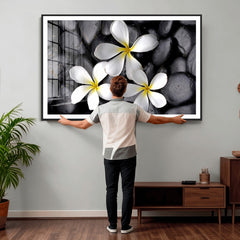 Plumeria Frangipani Black Stone Canvas | White Flower Spa
