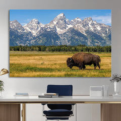 Bison in Mountain Landscape Wall Art Canvas Print – Western