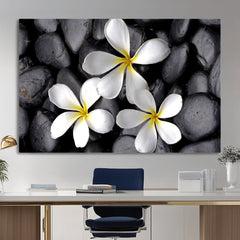 Plumeria Frangipani Black Stone Canvas | White Flower Spa