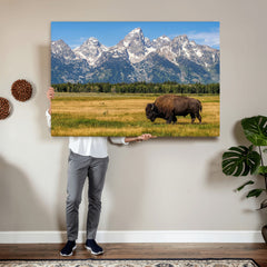 Bison in Mountain Landscape Wall Art Canvas Print – Western