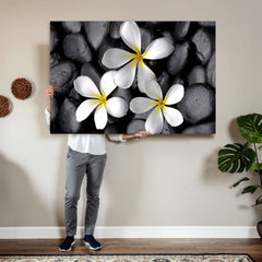 Plumeria Frangipani Black Stone Canvas | White Flower Spa
