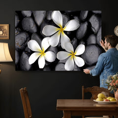 Plumeria Frangipani Black Stone Canvas | White Flower Spa