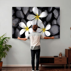 Plumeria Frangipani Black Stone Canvas | White Flower Spa