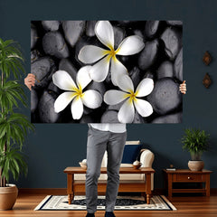 Plumeria Frangipani Black Stone Canvas | White Flower Spa