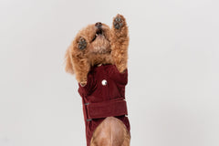 HUSTON HOODIE - DARK BURGUNDY