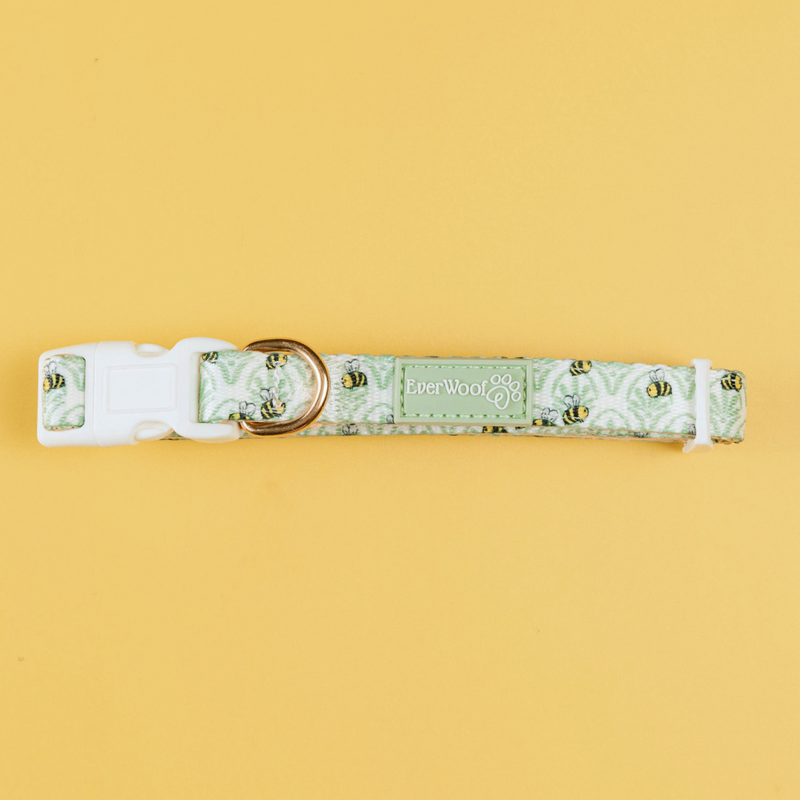 Little Honey Collar