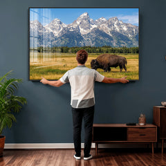 Bison in Mountain Landscape Wall Art Canvas Print – Western