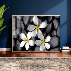Plumeria Frangipani Black Stone Canvas | White Flower Spa