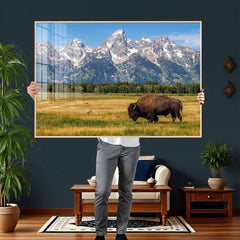 Bison in Mountain Landscape Wall Art Canvas Print – Western