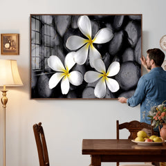 Plumeria Frangipani Black Stone Canvas | White Flower Spa