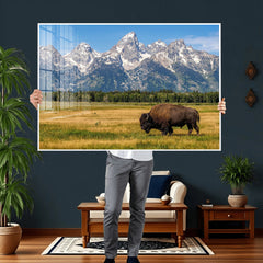 Bison in Mountain Landscape Wall Art Canvas Print – Western