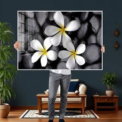 Plumeria Frangipani Black Stone Canvas | White Flower Spa