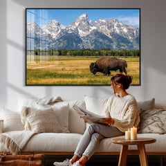 Bison in Mountain Landscape Wall Art Canvas Print – Western