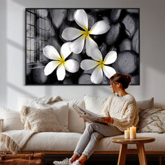 Plumeria Frangipani Black Stone Canvas | White Flower Spa