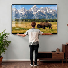 Bison in Mountain Landscape Wall Art Canvas Print – Western