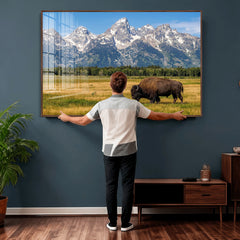 Bison in Mountain Landscape Wall Art Canvas Print – Western