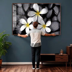Plumeria Frangipani Black Stone Canvas | White Flower Spa