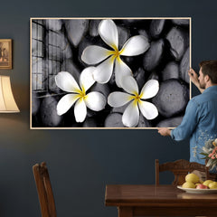 Plumeria Frangipani Black Stone Canvas | White Flower Spa
