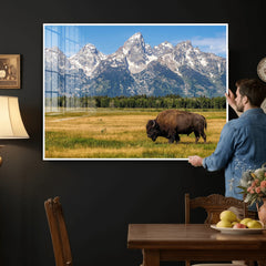 Bison in Mountain Landscape Wall Art Canvas Print – Western