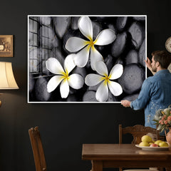 Plumeria Frangipani Black Stone Canvas | White Flower Spa