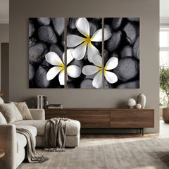 Plumeria Frangipani Black Stone Canvas | White Flower Spa