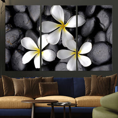 Plumeria Frangipani Black Stone Canvas | White Flower Spa