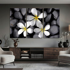 Plumeria Frangipani Black Stone Canvas | White Flower Spa