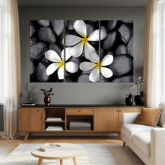 Plumeria Frangipani Black Stone Canvas | White Flower Spa