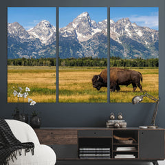 Bison in Mountain Landscape Wall Art Canvas Print – Western
