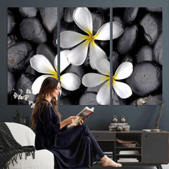 Plumeria Frangipani Black Stone Canvas | White Flower Spa