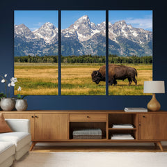 Bison in Mountain Landscape Wall Art Canvas Print – Western