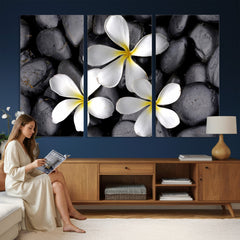 Plumeria Frangipani Black Stone Canvas | White Flower Spa