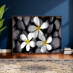 Plumeria Frangipani Black Stone Canvas | White Flower Spa