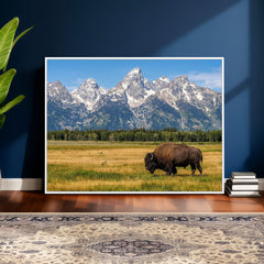 Bison in Mountain Landscape Wall Art Canvas Print – Western