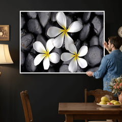 Plumeria Frangipani Black Stone Canvas | White Flower Spa