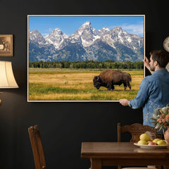 Bison in Mountain Landscape Wall Art Canvas Print – Western