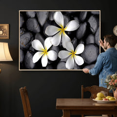 Plumeria Frangipani Black Stone Canvas | White Flower Spa