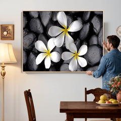 Plumeria Frangipani Black Stone Canvas | White Flower Spa