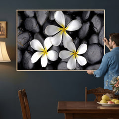 Plumeria Frangipani Black Stone Canvas | White Flower Spa