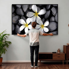 Plumeria Frangipani Black Stone Canvas | White Flower Spa