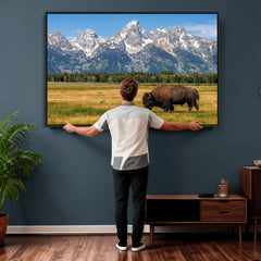 Bison in Mountain Landscape Wall Art Canvas Print – Western