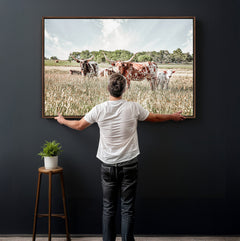 Texas Longhorn Cattle Wall Art Canvas Print: Western Ranch