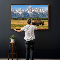 Bison in Mountain Landscape Wall Art Canvas Print – Western