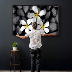 Plumeria Frangipani Black Stone Canvas | White Flower Spa