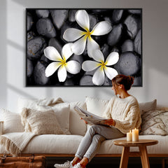Plumeria Frangipani Black Stone Canvas | White Flower Spa